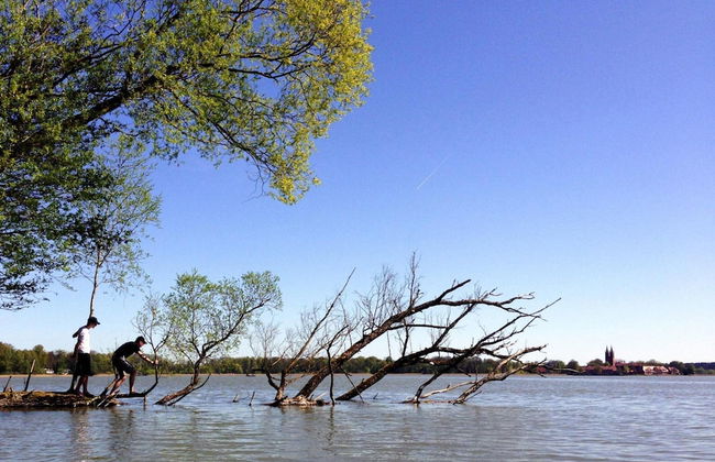 Bungalow Louise, Dobbertin - Foto 20