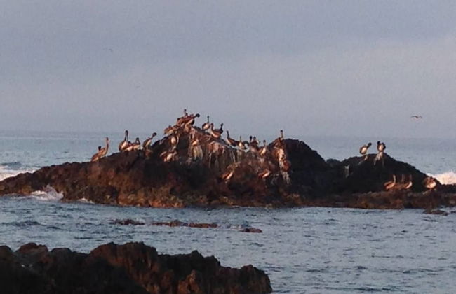 Loft on the Pacific Holiday home 1 BestStayz.1 - Foto 31