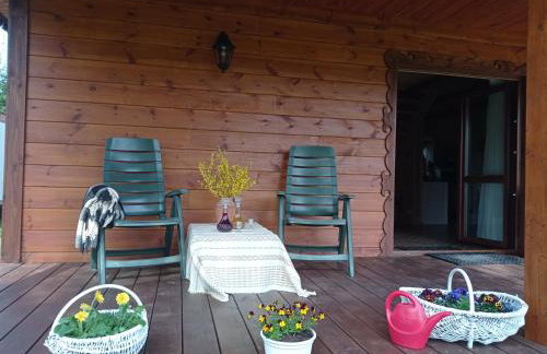 Agroturystyka Przy Siole Budy - Foto 9