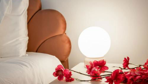 Fun & Renovated Artsy Downtown Apt Dog Friendly with Fully Fenced Backyard and Private Parking - Foto 5