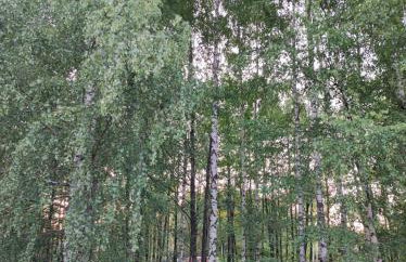 Brzozowy Chillout - Foto 5