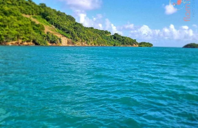 ClarenceVille Villa Apartments - Foto 33