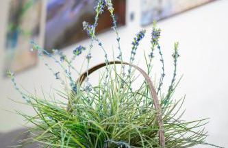 Stylish Apt - 2 Queen Bed - Easy Hospital Access - Foto 16