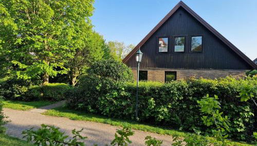 Wohnung Strandflieder - Photo 2