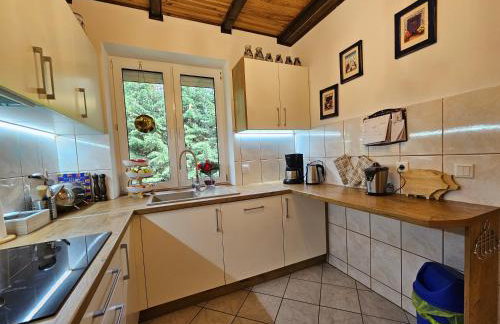 Ferienhaus JULKA am See mit Kamin & WLAN - Domek Letniskowy JULKA - Foto 44