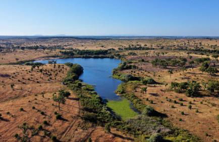 Cork Hills Farmhouse - Foto 33