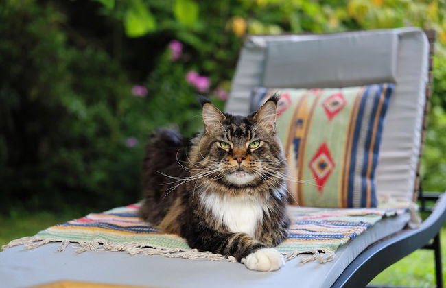 La casa Arancione - Foto 54