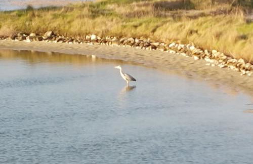 Holiday Home Charme de la Petite Bosse by Interhome - Foto 22