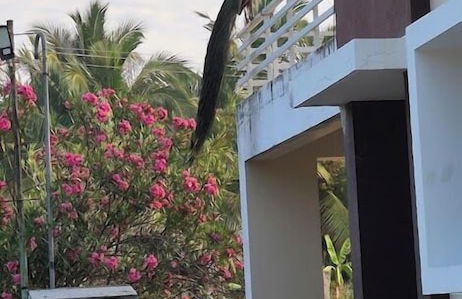 Sg Ayurveda Saigram charitable trust - Photo 4