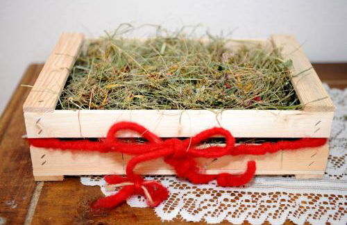 Schweiggerhof -Agriturismo- Farm Holidays - Foto 70