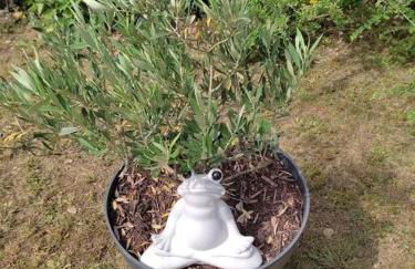 maison spacieuse et lumineuse+ studio - Foto 8