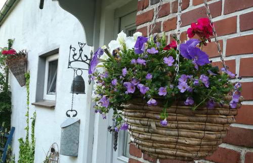 Ferienwohnung Brodersen - Foto 6