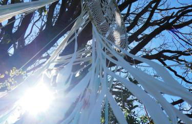 Glashaus Sternblick, Schlafen unterm Sternenhimmel - Foto 19