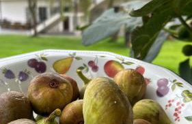 La Quintana de Figares - Foto 21