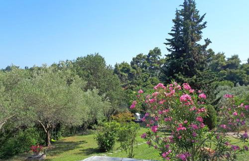 My Secret Garden - Swimming Pool Villa - Foto 66
