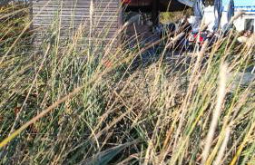 Meereszauber - Wo Urlaub Wellen schlägt & Herzen leuchten - Dein sonniger & ruhiger Ankerplatz, an dem sich Steilküste, Strand & Ostseeblick vereinen - Foto 29