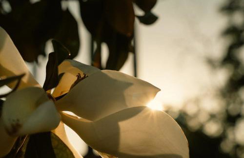 Manolia house near beach - Foto 21