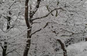 Kedros Chalet - Foto 43