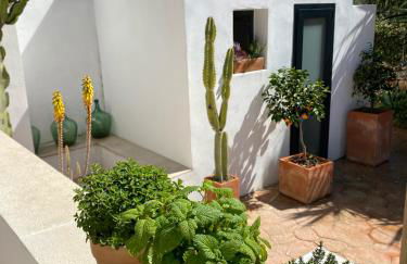 Can Yuca II - Foto 11