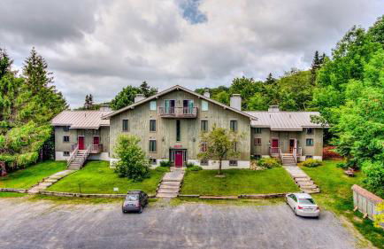 Renovated Ski-InandSki-Out Peru Condo at Bromley Mtn - Foto 4