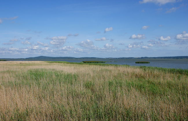 Smołdziński Las - Foto 14