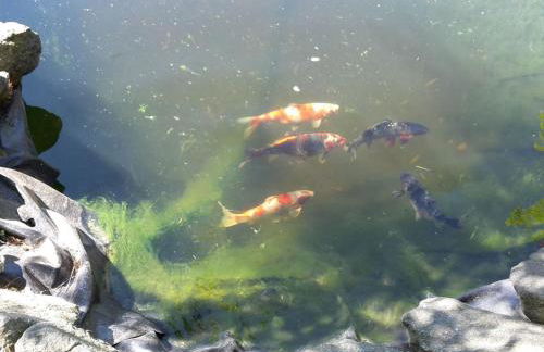 Holiday Home in Willersdorf With Outdoor Sauna - Foto 29