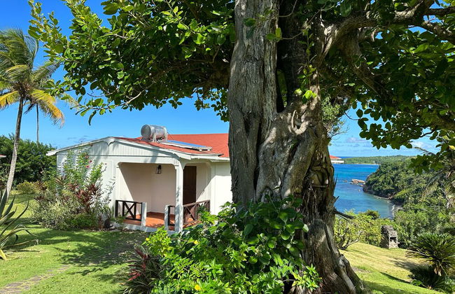 Sea Cliff Eco-Cottages & Gin Distillery - Photo 14