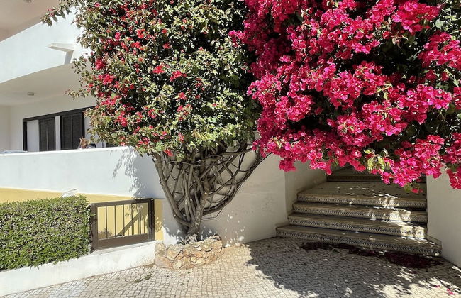 Medronheira CIP - Foto 30