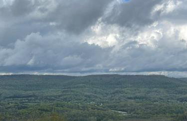 Tree top View 15 - Foto 17