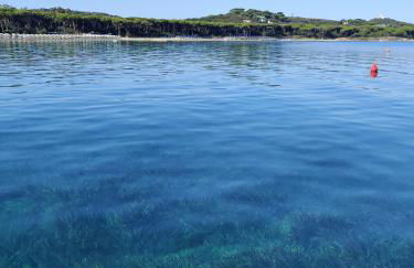 Holiday Homes Marina apartments - Foto 8