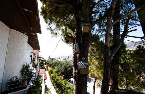 Tea & Sea Apts - Foto 12