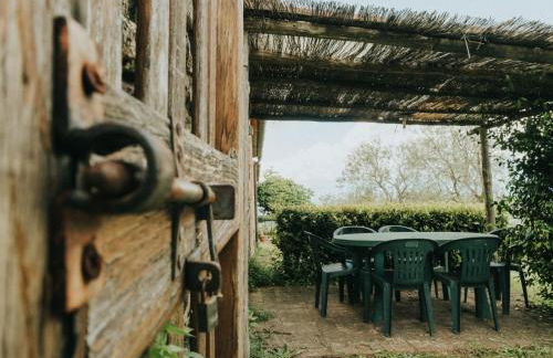 Apartment Wohnung Pietro mit Gemeinschaftspool by Interhome - Foto 13