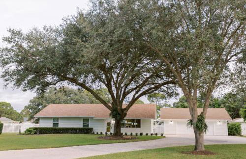 The Golden Hour - Foto 58