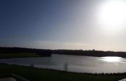 Erdgeschoss-Appartement mit Seeblick - Foto 31