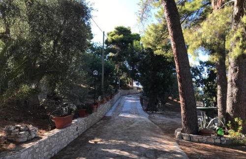 VILLA PINETA VISTA MARE - Foto 75