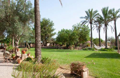 Agroturismo Finca Sant Blai - Photo 75