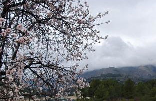 EL ÚNICO apartment with jacuzzi and art - Photo 10