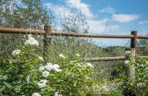 Casa Crevole di Martina - Foto 24