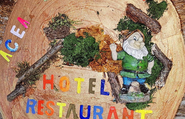 Acea do Bubal As Nenas - Foto 20