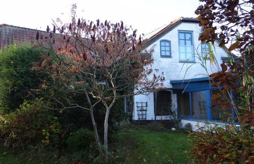 Ferienhaus Alte Schmiede - Foto 14