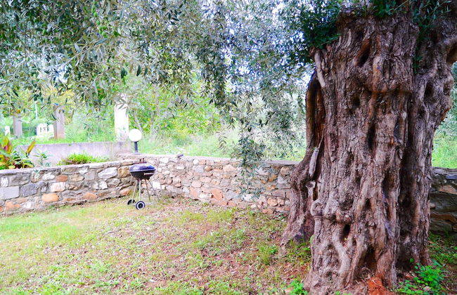 Blue Sky Villas - Foto 31