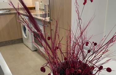 El oasis relajante the relaxing oasis - Photo 30