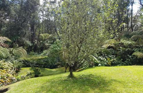 'Ama'u Lani Cottage - Foto 22