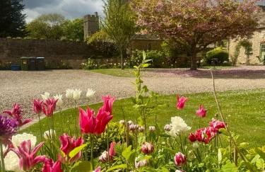 Parr Cottage at Snape Castle Mews - Foto 28