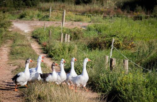 Quinta da Foz - Foto 71