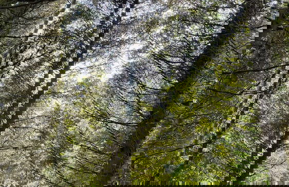 Inch Schoolhouse - Event Residence - Foto 44