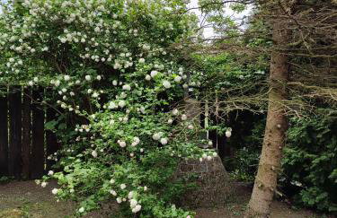 TRAFO DOM - Podlesice 74 - Foto 22