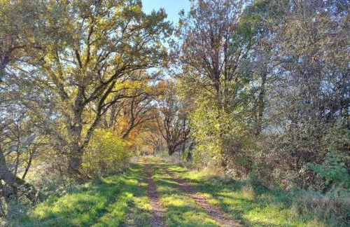 Rommersheim Forest Retreat - Foto 49