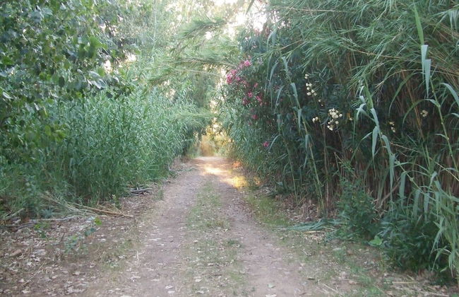 Tertenia Ground Floor South 3 min Walk From the sea - Photo 42