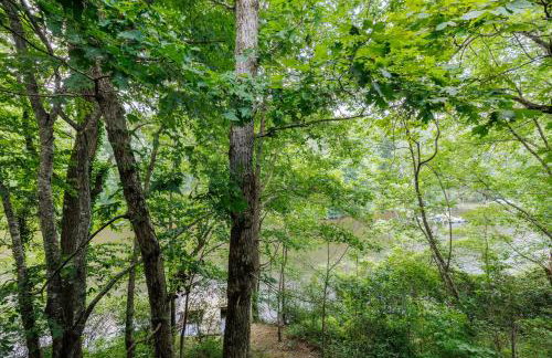 A Little River Romance - Private Dock - Hot Tub - Foto 20